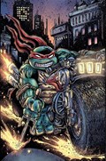 TEENAGE MUTANT NINJA TURTLES #84-PLAC 