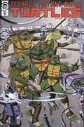 TEENAGE MUTANT NINJA TURTLES #120-RI 