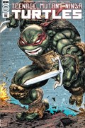 TEENAGE MUTANT NINJA TURTLES #108-EVOLV 