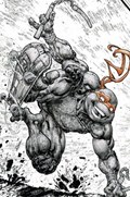 TEENAGE MUTANT NINJA TURTLES #109-EVOLV-B 