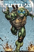 TEENAGE MUTANT NINJA TURTLES #110-EVOLV 