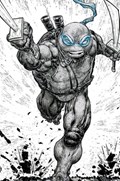 TEENAGE MUTANT NINJA TURTLES #110-EVOLV-B 