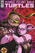 TEENAGE MUTANT NINJA TURTLES #134B 