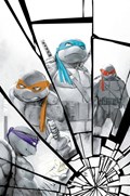 TEENAGE MUTANT NINJA TURTLES #140-RI-B 