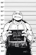 TEENAGE MUTANT NINJA TURTLES #141-RI-B 