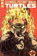 TEENAGE MUTANT NINJA TURTLES #138B 