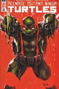 TEENAGE MUTANT NINJA TURTLES #132-FCCBD-B 