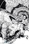 TEENAGE MUTANT NINJA TURTLES #143-RI-B 