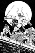 TEENAGE MUTANT NINJA TURTLES #144-RI-B 
