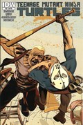 TEENAGE MUTANT NINJA TURTLES #33-RI 