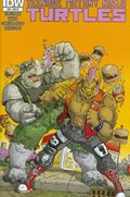 TEENAGE MUTANT NINJA TURTLES #39-RI 