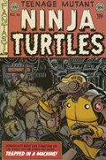 TEENAGE MUTANT NINJA TURTLES #48-SUB 