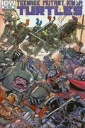 TEENAGE MUTANT NINJA TURTLES #43-RI 