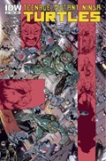 TEENAGE MUTANT NINJA TURTLES #47 