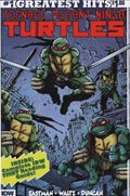 TEENAGE MUTANT NINJA TURTLES #1G 
