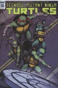 TEENAGE MUTANT NINJA TURTLES #55-RI 