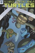 TEENAGE MUTANT NINJA TURTLES #62-RI 