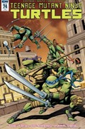 TEENAGE MUTANT NINJA TURTLES #74-RI 