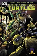 TEENAGE MUTANT NINJA TURTLES #51-RICC 