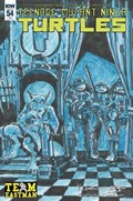 TEENAGE MUTANT NINJA TURTLES #54-EAST 