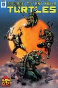 TEENAGE MUTANT NINJA TURTLES #63-ACCC 