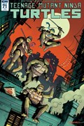 TEENAGE MUTANT NINJA TURTLES #71-RI 