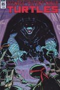 TEENAGE MUTANT NINJA TURTLES #85 