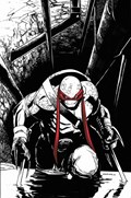 TEENAGE MUTANT NINJA TURTLES #75-PLAC-B 