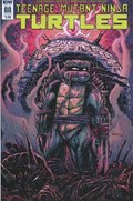 TEENAGE MUTANT NINJA TURTLES #88B 