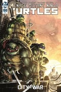 TEENAGE MUTANT NINJA TURTLES #100-RI-B 