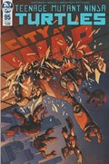 TEENAGE MUTANT NINJA TURTLES #95 