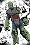 TEENAGE MUTANT NINJA TURTLES #95-IDWC 