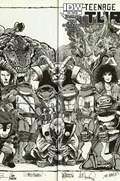 TEENAGE MUTANT NINJA TURTLES #33-JETP 