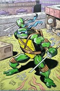 TEENAGE MUTANT NINJA TURTLES #145-CBNS 