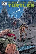 TEENAGE MUTANT NINJA TURTLES #29-RI 