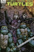 TEENAGE MUTANT NINJA TURTLES #19-RI 