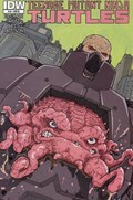 TEENAGE MUTANT NINJA TURTLES #19-RI-B 
