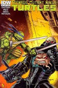 TEENAGE MUTANT NINJA TURTLES #20B 