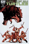 TEENAGE MUTANT NINJA TURTLES #16 