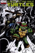 TEENAGE MUTANT NINJA TURTLES #22-2nd 