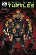TEENAGE MUTANT NINJA TURTLES #26-RI 