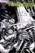 TEENAGE MUTANT NINJA TURTLES #20-2nd 