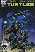 TEENAGE MUTANT NINJA TURTLES #21-OCC 