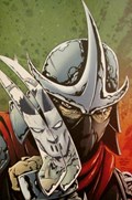 TEENAGE MUTANT NINJA TURTLES #22-PHANT-C 
