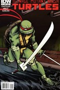 TEENAGE MUTANT NINJA TURTLES #1C 