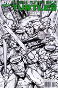 TEENAGE MUTANT NINJA TURTLES #2-3rd 