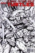 TEENAGE MUTANT NINJA TURTLES #2-2nd 
