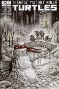 TEENAGE MUTANT NINJA TURTLES #5-RI-B 