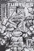 TEENAGE MUTANT NINJA TURTLES #4-RI-B 