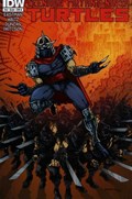 TEENAGE MUTANT NINJA TURTLES #10B 